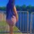 Marmaris Tutkulu Asi Escort